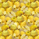 David Textiles - Foust Exclusives - Golden Delicious Apple Slices, Multi