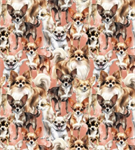 David Textiles - Foust Exclusives - Chihuaua, Peach