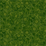 Timeless Treasures - Poppy Passion - Tonal Poppies, Green