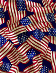 Timeless Treasures - USA - Packed US Flags, Multi