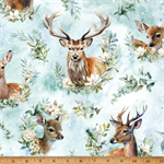 Hoffman California - Forest Fawn - Deer Wreath Portraits, Clouds