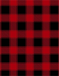 Timeless Treasures - Softie/Minky Print - Buffalo Check, Red