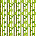 Studio E - Panda Sanctuary - Bamboo Trees, White