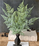 Bundle - Longacre Fern 20^