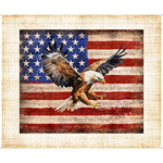 Quilting Treasures - Patriot - 36^ American Eagle Flag Panel, Multi
