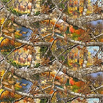 Print Concepts - Real Tree - Real Tree Blaze - Animal Scenic, Multi