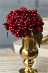 Pick - Cherish Berry 13^, Red