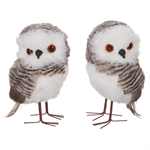 Owl - Soft Owl, Assorted