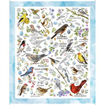 Quilting Treasures - Drawn to Birds - 36^ Bird Panel, Sky Blue