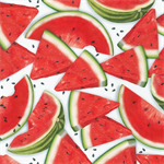 Robert Kaufman - Chow Time - Watermelon Slices, Watermelon/White
