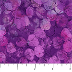 Northcott - Concerto - Dots, Purple
