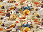 Elizabeth Studio - Landscape Medley - Scattered Shells, Sand