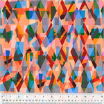 Windham Fabrics - Fur-ever Friends - Prism Patch, Multi