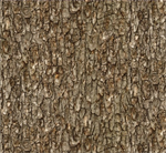 Elizabeth Studio - Landscape Medley - Tree Bark, Walnut