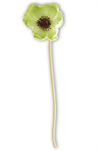 Stem - Poppy 9.5^, Green