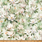 Hoffman California - Forest Fawn - Magnolias, Sprout