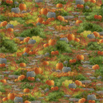 P & B Textiles - Fireside Serenity - Pumpkin Allover, Orange