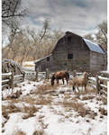 Hoffman California - Winterwind Stables - 34? x 43^ Horse Panel, Pasture