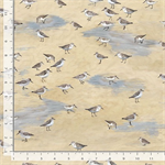 Timeless Treasures - Let Your Light Shine - Sandpipers, Sand