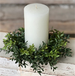 Candle Ring - New England Boxwood 8^