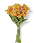 Bundle - 13^ Parrot Tulip Bundle, Real Touch - Orange