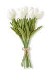 Bouquet - Tulip 13.5^, White