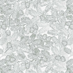 Studio E - Just a Dusting - Pine Etching, Mist