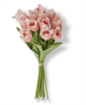 Bouquet - Tulip 13^ Orange/Peach Parrot