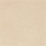 Shannon Fabrics - Cuddle 3 Solid, Beige