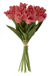13 Inch Coral Real Touch Parrot Tulip Bundle