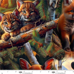 Blank Quilting - Minky - Babies in the Wild - Baby Animals Allover, Brown
