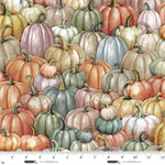Studio E - Tonight We Fly - Pumpkin Patch, Citrus