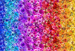 Timeless Treasures - Butterfly Garden - Rainbow Butterflies, Multi