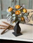Amberly Blooms Bush
