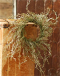 Candle Ring - Weeping Cedar 14^, Snow