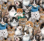 Elizabeth Studio - Cat Breeds - Packed Cats, Multi