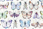 Shannon Fabrics - Cuddle Prints - Boho Flutter Butterfly, Multi