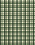 Wilmington Prints - Cardinal Charm - Plaid, Cream/Green