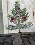 Pick - Winter Jewel Hemlock 17^