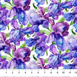Northcott - Infatuation - Packed Iris, White