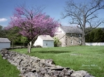 Frame - Blooming Redbuds, 23^ X 36^