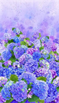 Timeless Treasures - Hydrangea Bliss - 24^ Hydrangea Panel, Multi