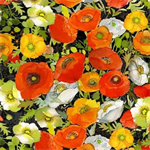 Clothworks - Poppy Dreams - Large Poppies, Black