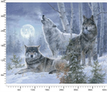 3 Wishes - Under the Moonlight - 36^ Wolves Panel, Multi