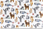 Shannon Fabrics - Cuddle Prints - Cat Nip, Multi