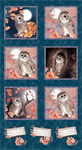Studio E - Night Owls - 24^ Owl Panel, Navy