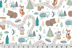 Shannon Fabrics - Cuddle Prints - Adventure Time, Multi
