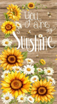 Timeless Treasures - You Are My Sunshine - 24^ You Are My Sunshine Panel, Multi