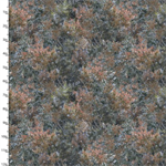 3 Wishes - Under the Moonlight - Pine Scrub, Brown