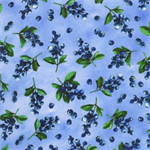 Robert Kaufman - Wishwell: Garden Goodness, Blueberry